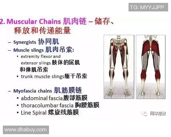 广州网球队状态对比深度解析与未来发展趋势展望