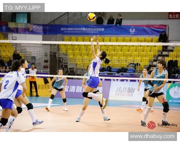 深圳排球队的成长之路：一段关于拼搏与团结的排球纪实故事